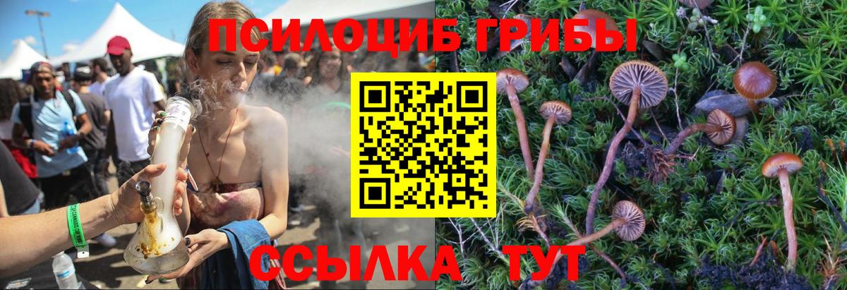 Псилоцибиновые грибы Psilocybe Верхний Уфалей